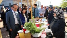 Eko Turizmin Merkezi Kabakdağı’nda, Organik Ürünler Pazarı Açıldı